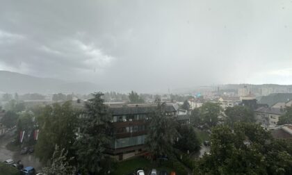 Naslovna slika br 13