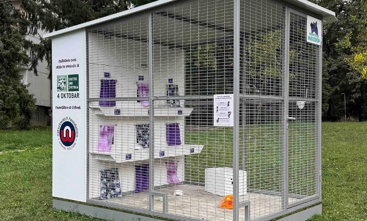 Na Starčevici otvoren treći hotel za mačke: Evo kako funkcioniše