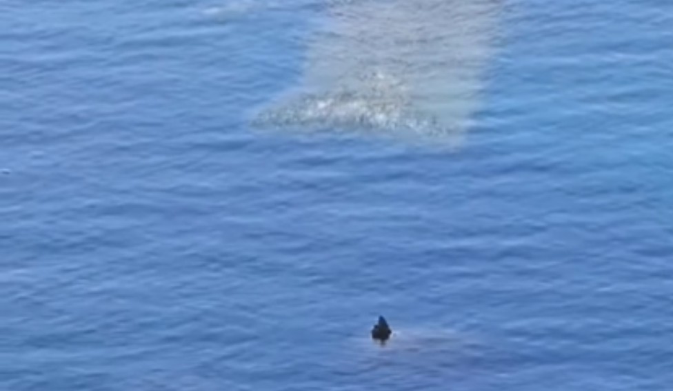 U Jadranskom moru snimljeno nešto misteriozno: “Nešto vri i kreće se ka plićaku”