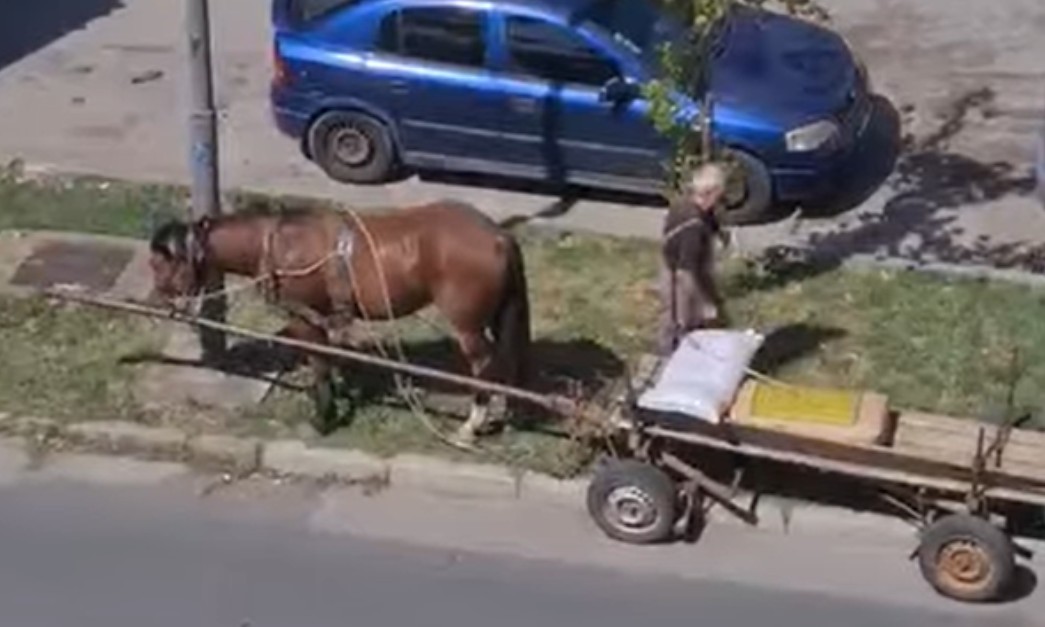 Ovaj Banjalučanin ne plaća parking: Vezao životinju i produžio svojim poslom VIDEO