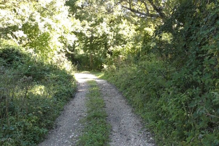 Kraći za više od 30 kilometara: Uskoro novim putem od Sanskog Mosta do Banjaluke?