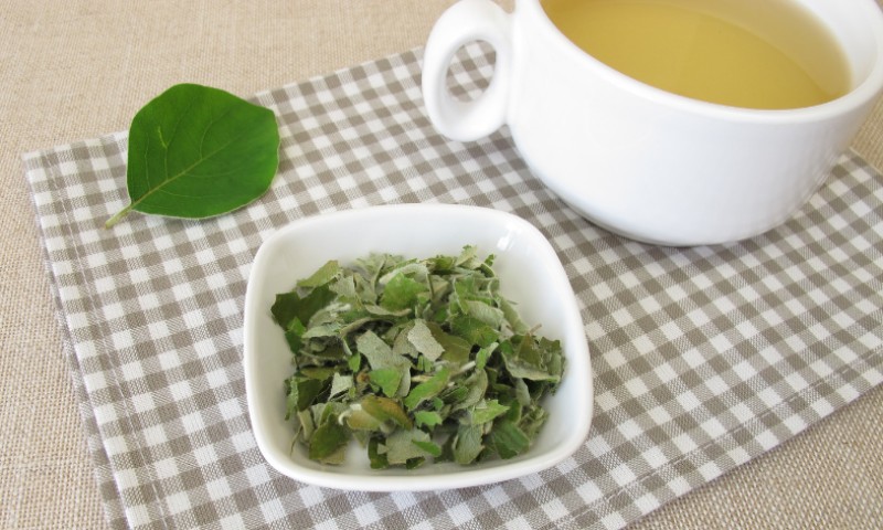 Provjereno najbolji! Čaj od dunje je spas za lijena crijeva