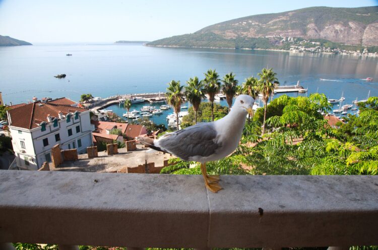 Ljeto još nije gotovo: Evo kakve su cijene smještaja u Crnoj Gori u septembru