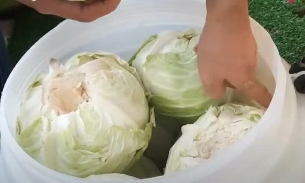 Tradicionalan i dobro poznat recept: Kako Vranjanci kisele kupus