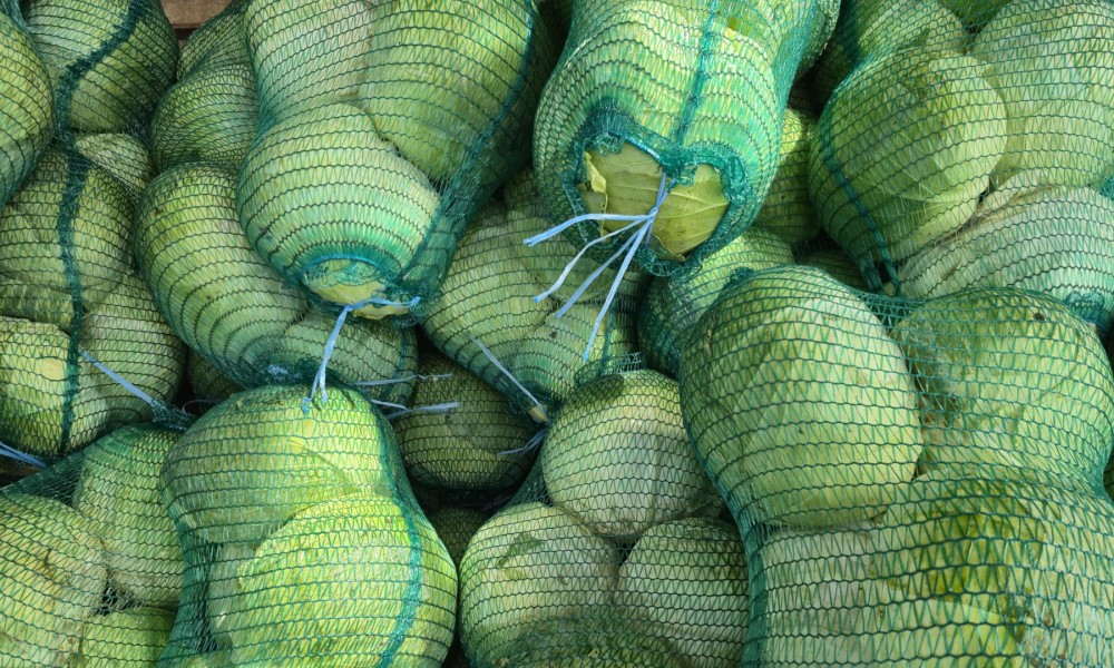 Ovo su konkretne cifre: Evo koliko trenutno košta kupus u Banjaluci