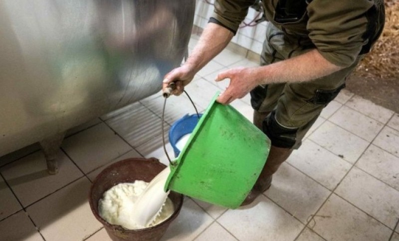 Ministarstvo poljoprivrede: Isplaćeno više od tri miliona KM premije za mlijeko