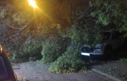 Olujno nevrijeme napravilo haos u Hercegovini: Vjetar čupao stabla, uništena auta