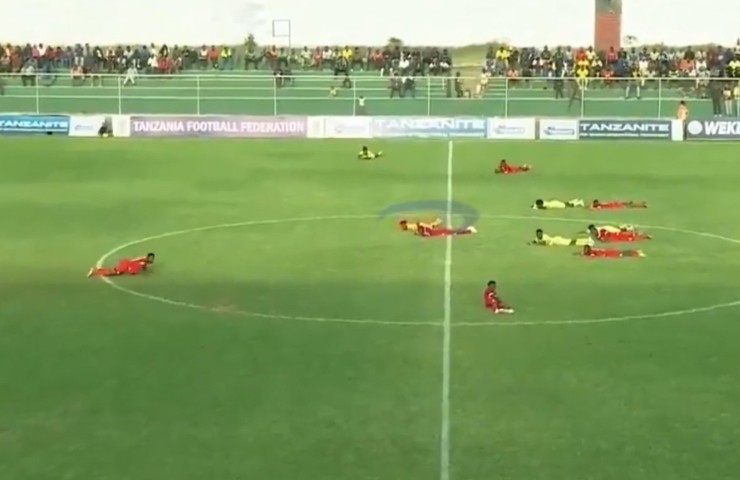 Roj pčela prekinuo utakmicu: Svi morali da legnu VIDEO