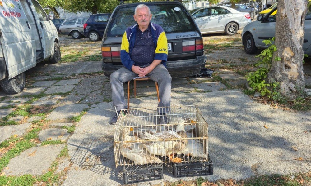 Pazarni je dan, ali svinja nema! Dobrivoje: Uzdam se u patke FOTO/VIDEO