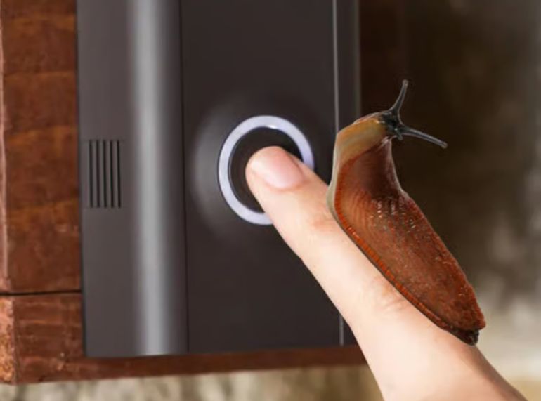 Reagovala i policija: Puž golać cijelu noć zvonio na interfon stanarima zgrade