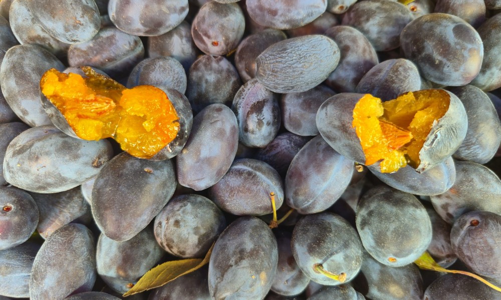 Ko je poranio, dobre šljive je ugrabio! Evo koja se u nestašici prodaje na pijaci u Banjaluci FOTO