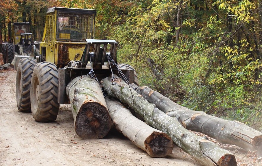 Kriza nije zaobišla ni načelnika opštine: Dvije firme u njegovom vlasništvu otpustile više od 10 radnika