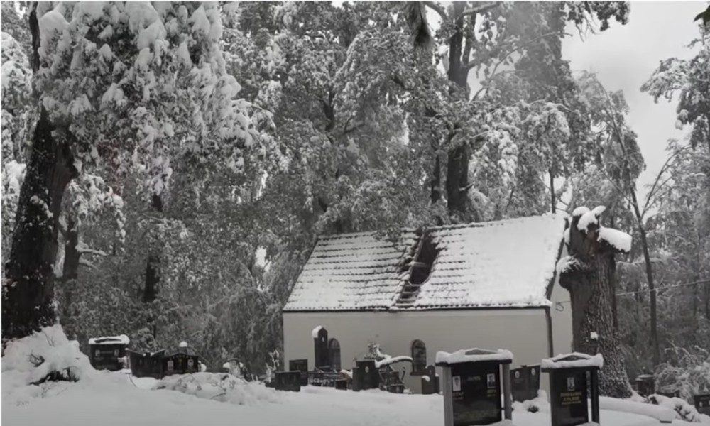 Palo drvo na crkvu: Mještani u nevjerici zbog prizora na groblju VIDEO