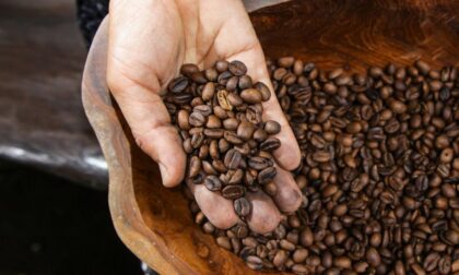 Strah od globalnog manjka ponude: Cijene kafe “arabika” nastavile da rastu