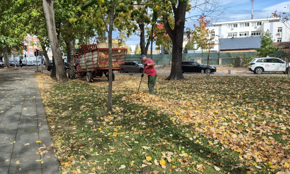 Malo vjetra, malo Ane Bekute: Ovako izgleda borba s lišćem u centru grada FOTO/VIDEO