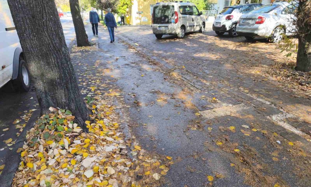 Pazite kako hodate gradom! Jesenja “poledica” nije bezazlena, čekamo čišćenje FOTO