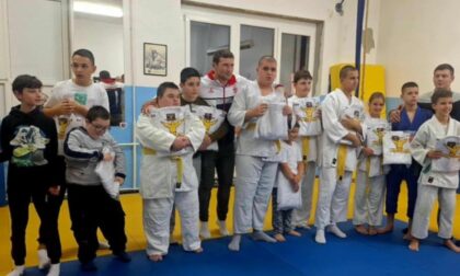 Naslovna slika br 19