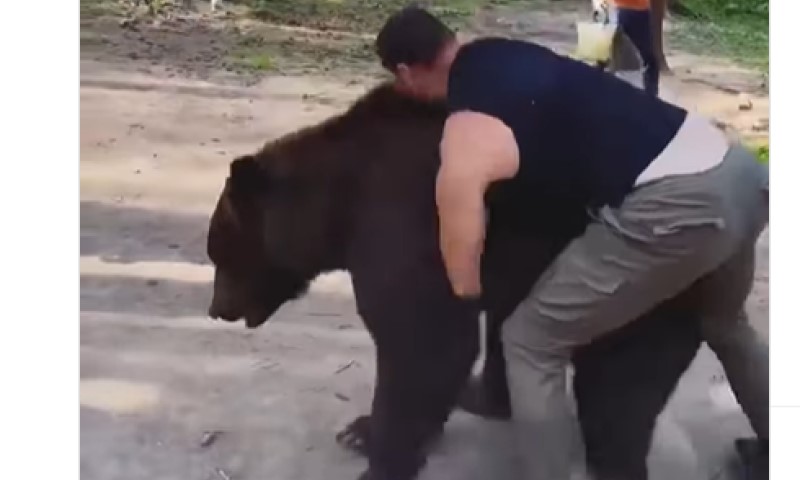 Nerealne scene: Ruski dvometraš pred boks meč trenira sa medvjedom VIDEO