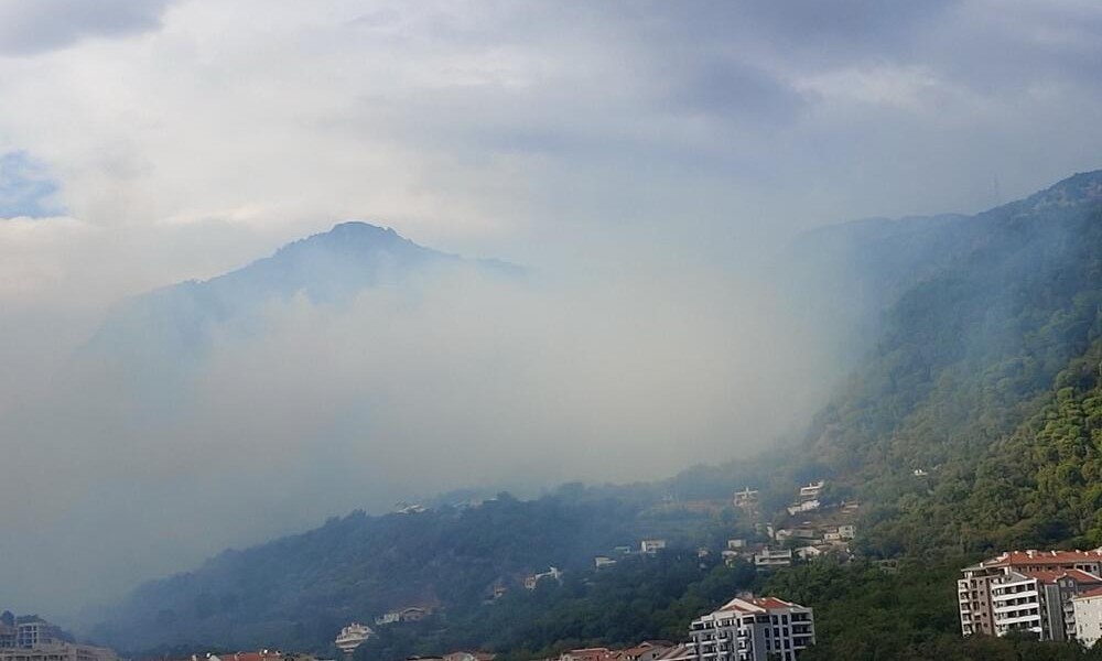 Izbio požar iznad Budve: Jak vjetar širi vatru