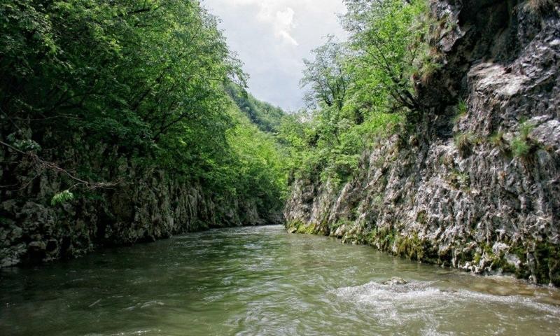 U toku pretraga terena: Automobil sletio u kanjon rijeke Rzav