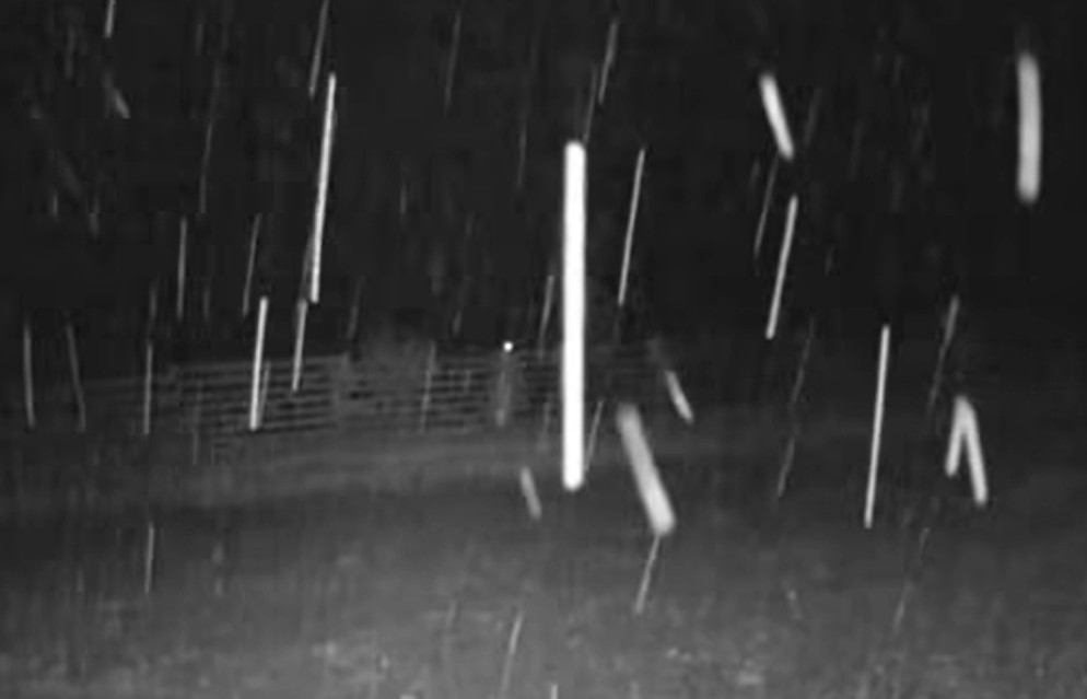 Planina se zabijelila: Prve pahulje snijega pale u BiH VIDEO