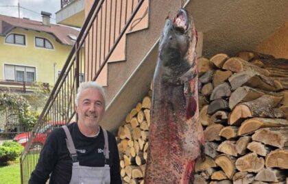 Borba trajala pola sata: Zlatko iz Laktaša ulovio soma kapitalaca FOTO