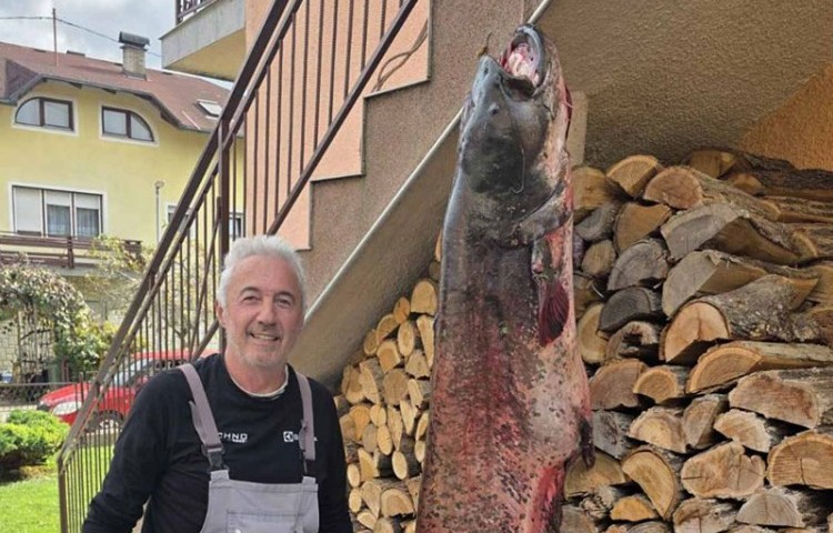 Borba trajala pola sata: Zlatko iz Laktaša ulovio soma kapitalaca FOTO