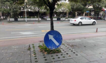 Naslonjen na drvo: Banjalučanima zasmetao “izgubljeni” saobraćajni znak