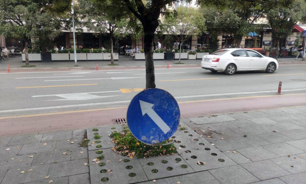 Naslonjen na drvo: Banjalučanima zasmetao “izgubljeni” saobraćajni znak