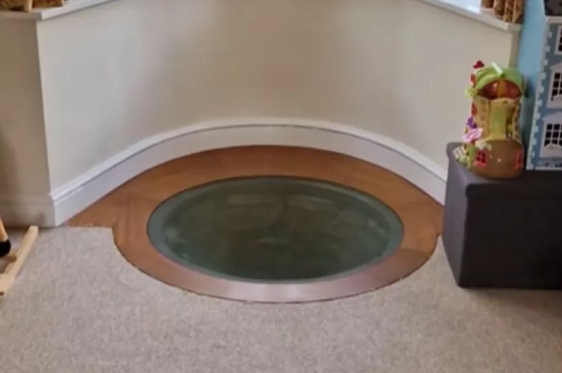 Jezivo ili kul: Žena pokazala šta ima u dnevnoj sobi: Ljudi gledaju snimak i … VIDEO