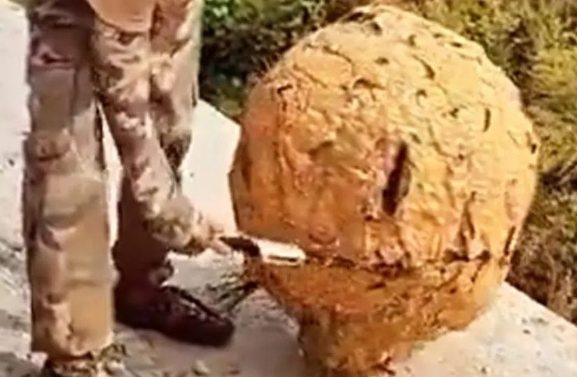 Jeziv prizor: Mladić pokazao šta je pronašao, a ljudi mu poručuju: “Treba ga odmah spaliti” VIDEO