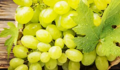 Nipošto nemojte da ga jedete: Hitno se povlači bijelo grožđe uvezeno iz Italije