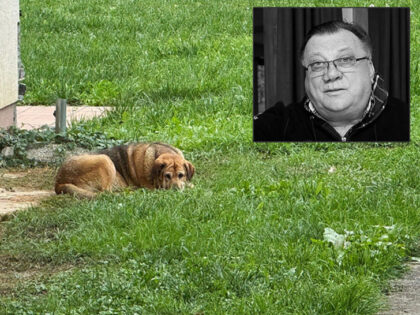 Ne pomjera se, ne pije vodu i ne jede: Pas Halida Bešlića očajan nakon smrti pjevača