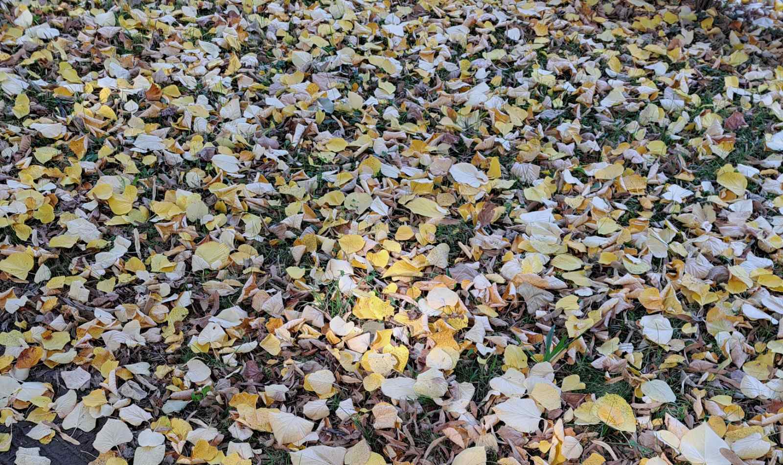 Meteorolozi objavili: Kakvo vrijeme nas očekuje u narednim danima?