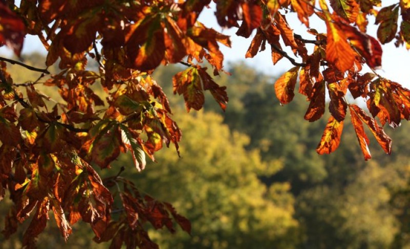 Sutra uglavnom tmurno i suvo: Slaba kiša padaće samo ponegdje