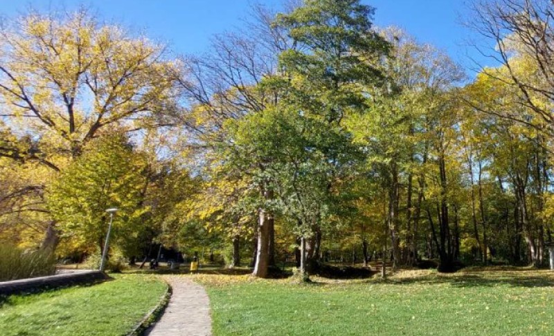 Da li nam se Miholjsko ljeto “smješka”: Meteorolozi objavili prognozu do kraja sedmice