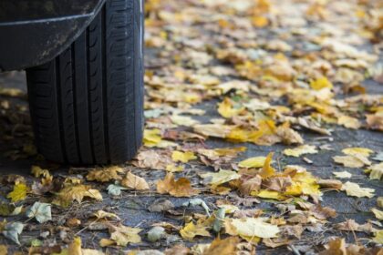 Vozači, oprez: Put prema Slatini prekriven lišćem – opasnije od leda