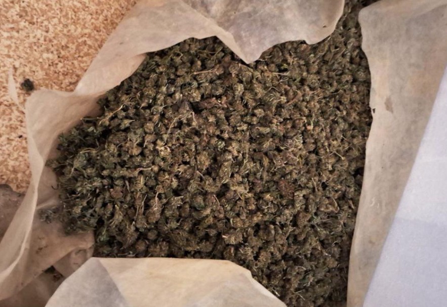 Velika policijska akcija u Gornjoj Badanji: Zaplijenjeno oko 200 kilograma marihuane