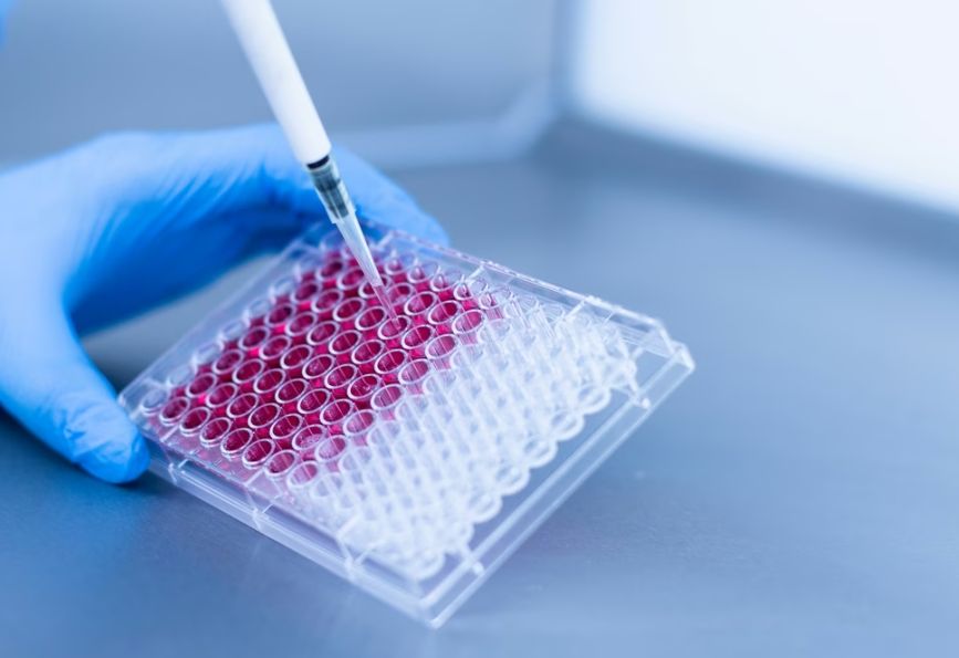 Nova studija: Matične ćelije bi mogle da poprave oštećenja mozga poslije šloga