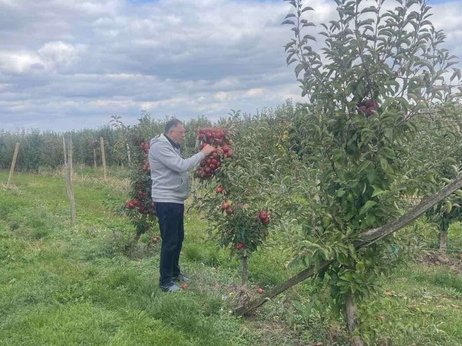 Dodik obišao voćnjak: Ova godina nije bila dobra za voćare u Srpskoj VIDEO