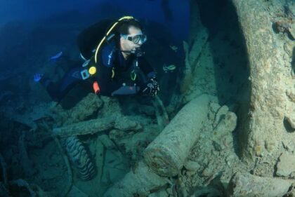 Naslovna slika br 17