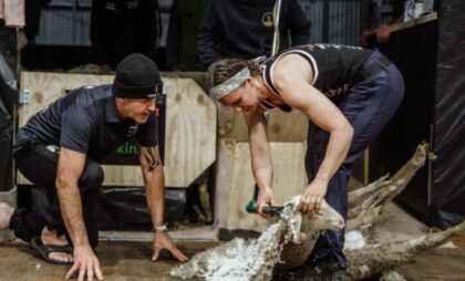 Niki oborila svjetski rekord: Ošišala više od 500 ovaca za samo devet sati