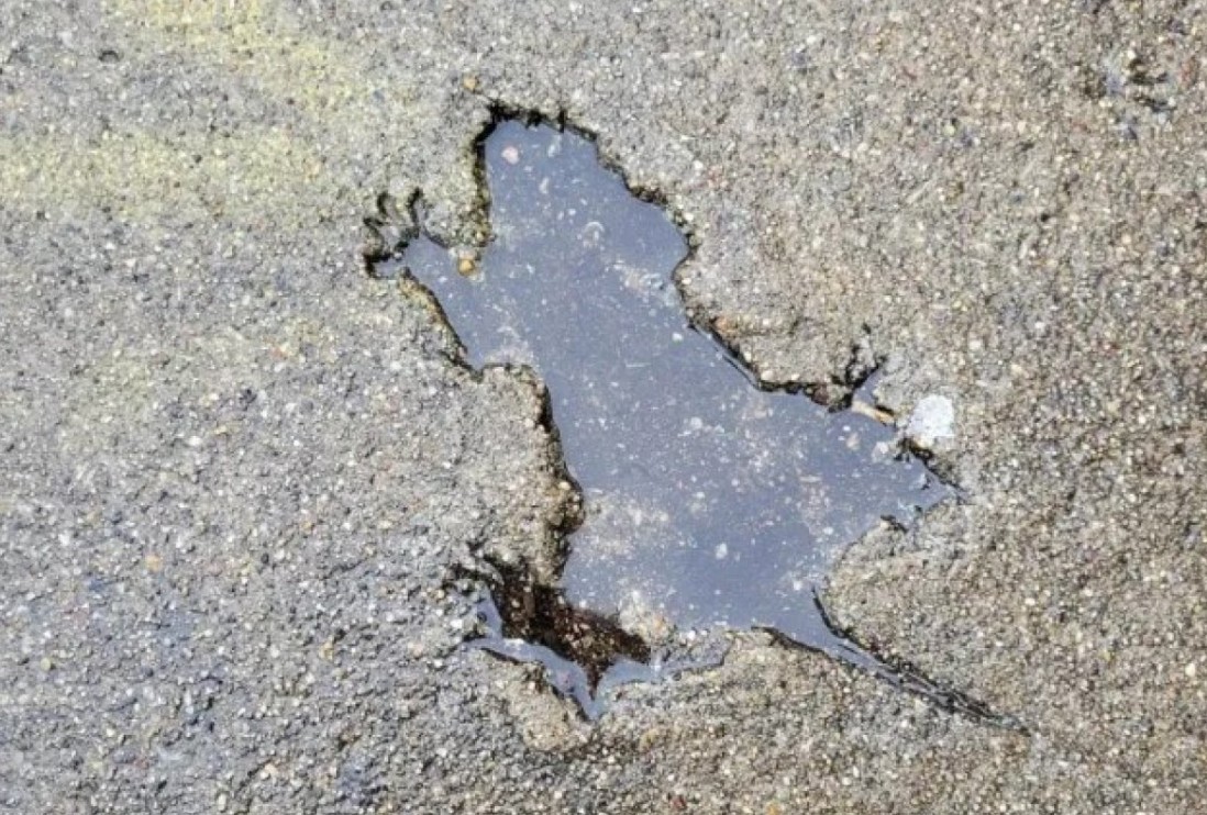 Misterija “pacovske rupe” u Čikagu: Naučnici otkrili da krivac nije pacov VIDEO