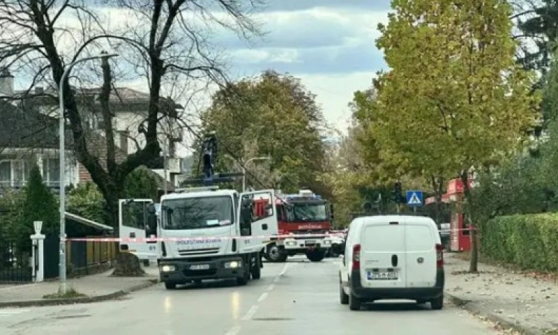 Neobična nezgoda u Banjaluci: Pauk srušio strujne kablove, stigla i policija