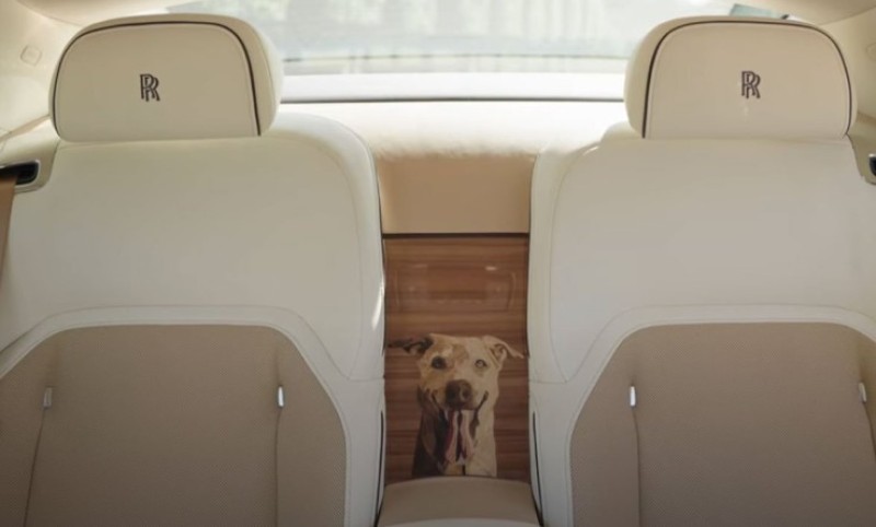 Luksuzni unikat posvećen ljubimcu: Rolls-Royce napravio auto u čast psa FOTO