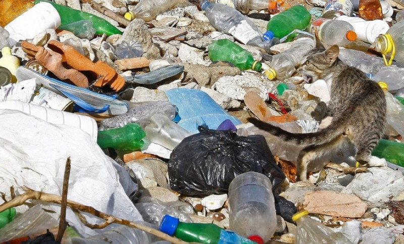 Poražavajuća i strašna statistika: U BiH godišnje bude bačeno čak 400.000 tona hrane