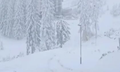 Bez struje hrana u zamrzivačima se kvari! Mještani prokupačkih sela na mukama