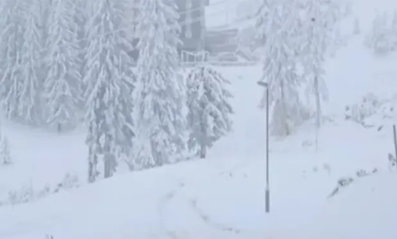 Snijeg paralizovao dijelove Srbije: Vanredno stanje u 11 opština, evakuisano 37 ljudi