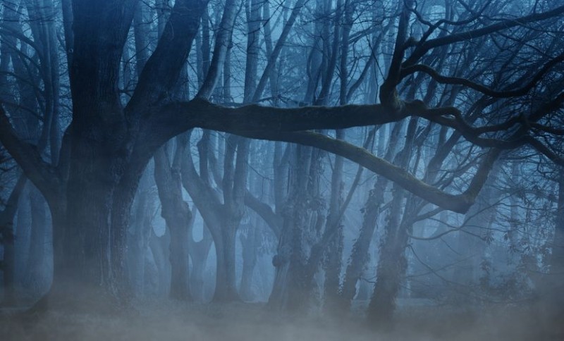 Komplikovan slučaj! Majka tražila nestalu kćerku (14), pa pronađena mrtva u šumi