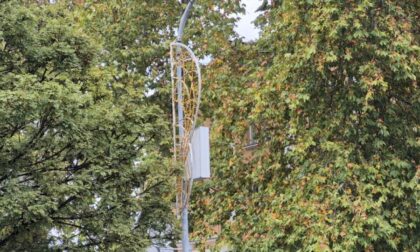 Nova godina prije reda: Kome je ovo krajem oktobra palo na pamet?! FOTO